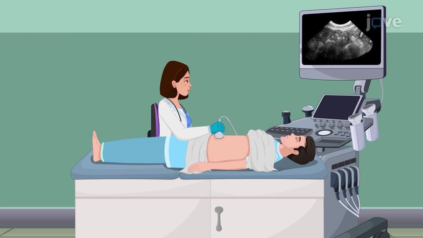 Ultrasound I: Abdominal Ultrasonography