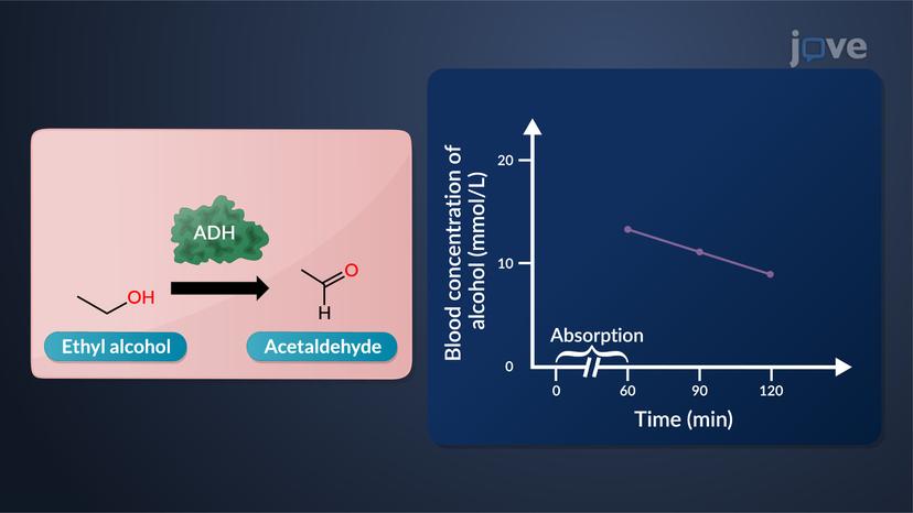 Fundamental Mathematical Principles in Pharmacokinetics: Rate and Order of Reaction