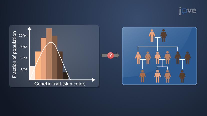 Statistical Methods to Analyze Parametric Data: Student t-Test and Goodness-of-Fit Test