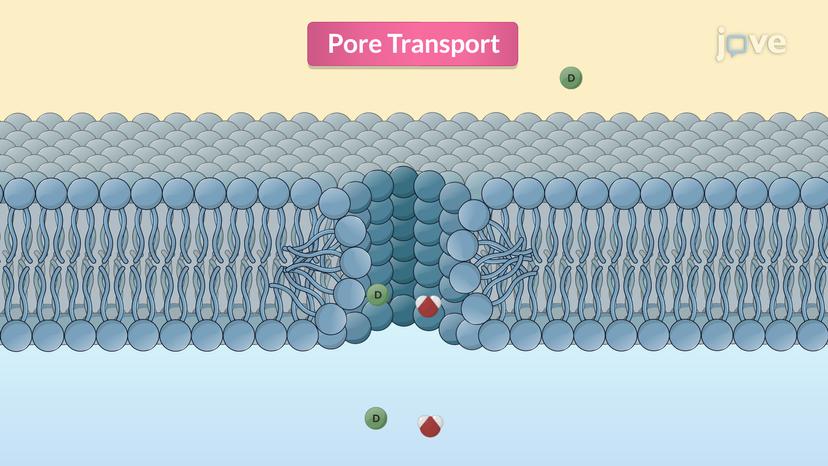 Pore Transport and Ion-Pair Transport