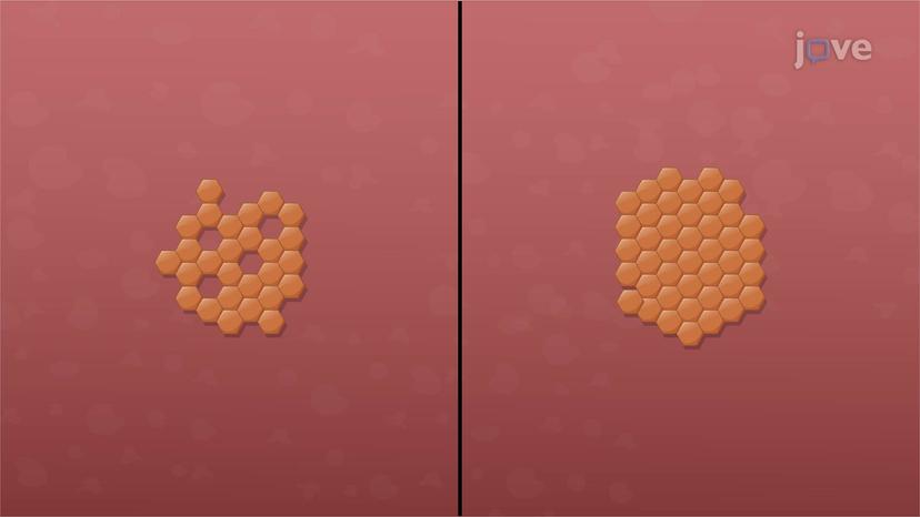 Factors Influencing Drug Absorption: Physicochemical Parameters