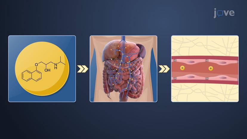 Factors Influencing Drug Absorption: Presystemic Elimination