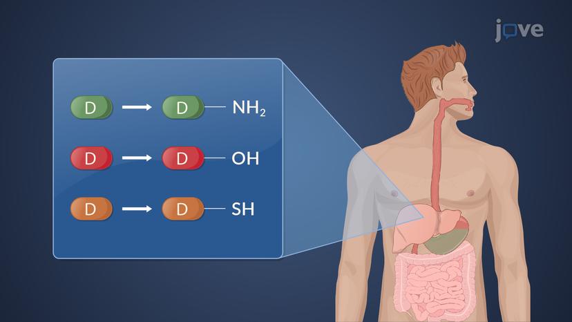 Phase I Oxidative Reactions: Overview