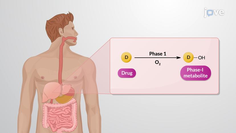 Phase I Reactions: Oxidation of Aliphatic and Aromatic Carbon-Containing Systems