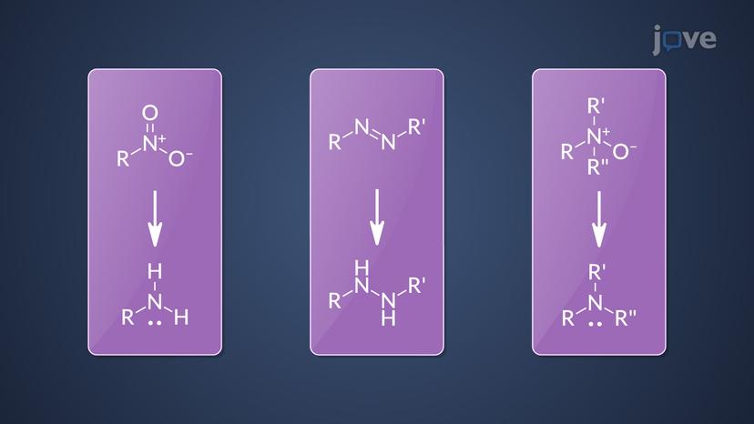 Phase I Reactions: Reductive Reactions