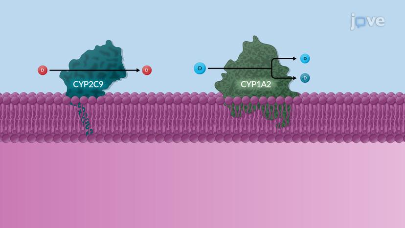 Factors Affecting Drug Biotransformation: Physicochemical and Chemical Properties of Drugs