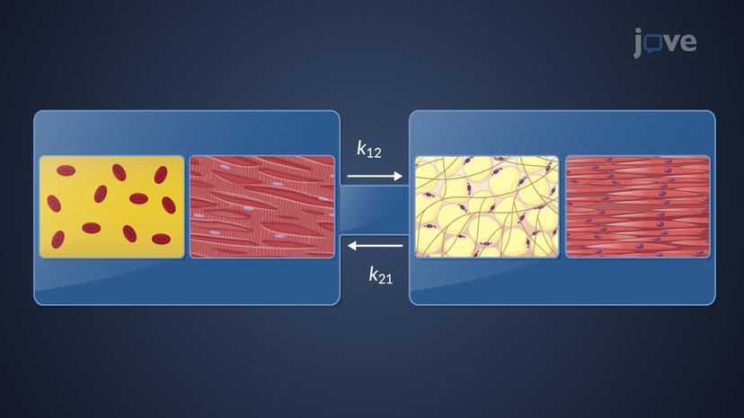 Model Approaches for Pharmacokinetic Data: Compartment Models