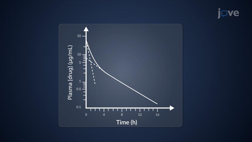 Two-Compartment Open Model: IV Bolus Administration