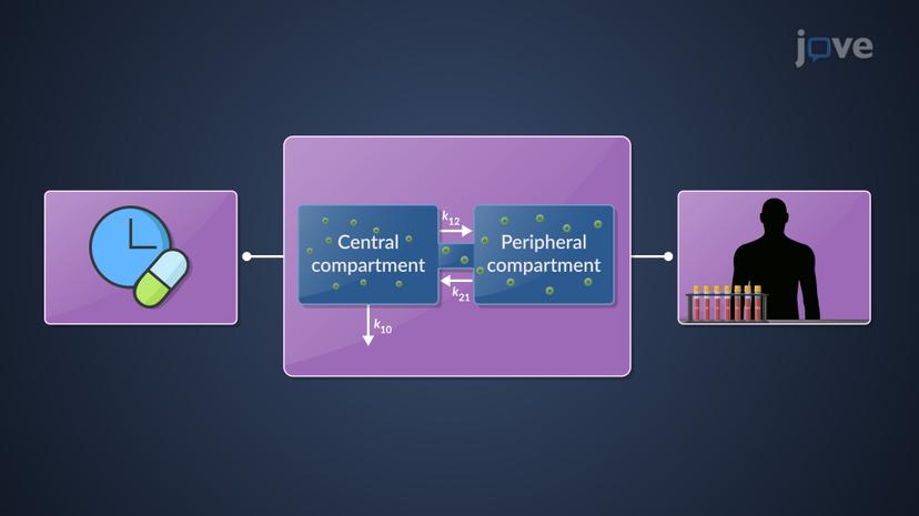 Two-Compartment Open Model: IV Infusion