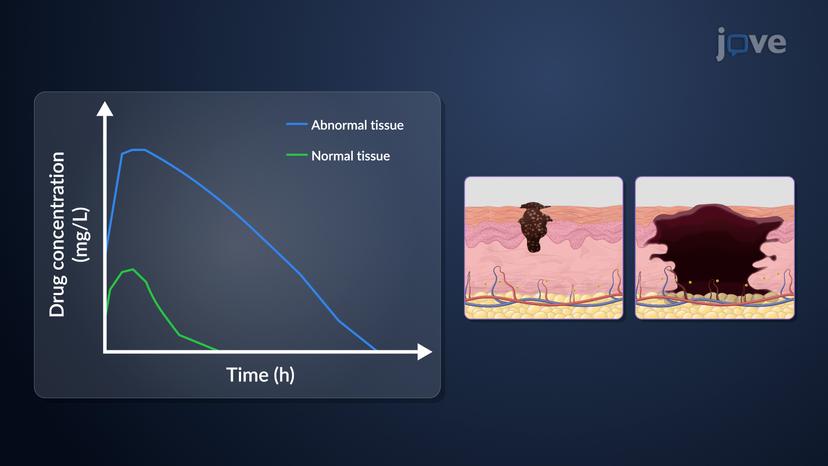 Model Approaches for Pharmacokinetic Data: Distributed Parameter Models