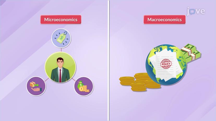 Micro vs Macro