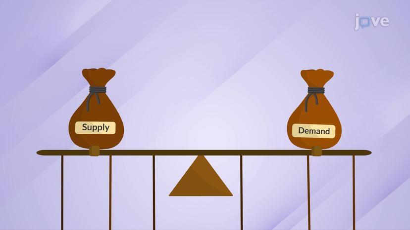 The Mathematics of Equilibrium