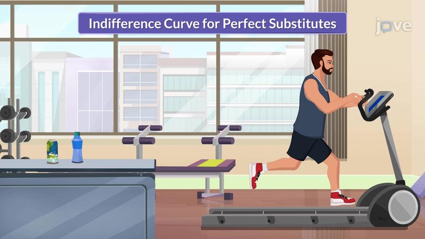 Types of Indifference Curves