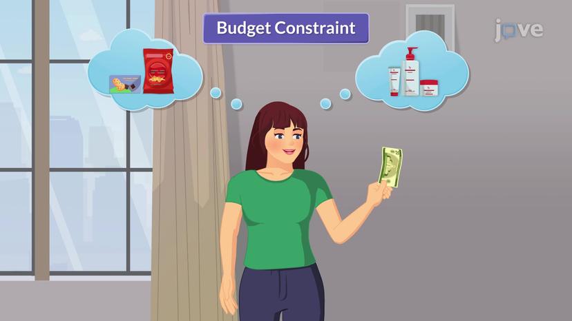 Budget Constraint I