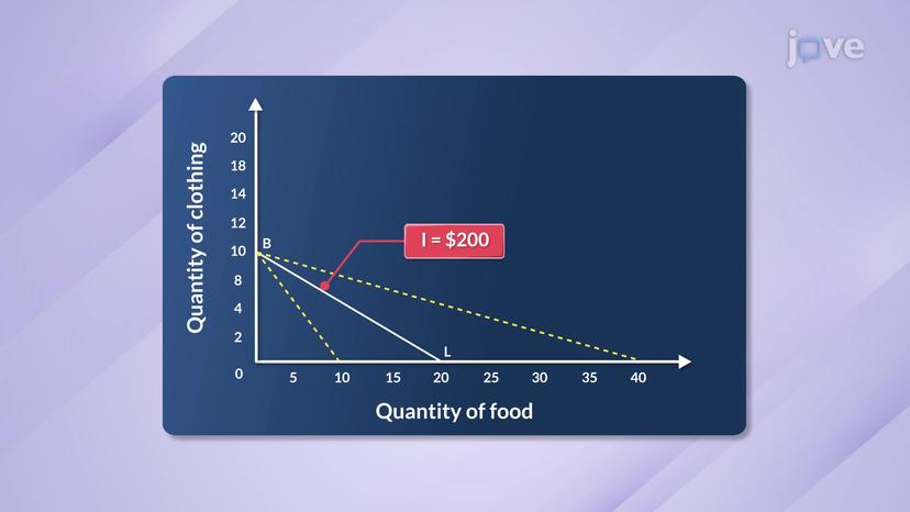 Factors Affecting Budget Constraint  I