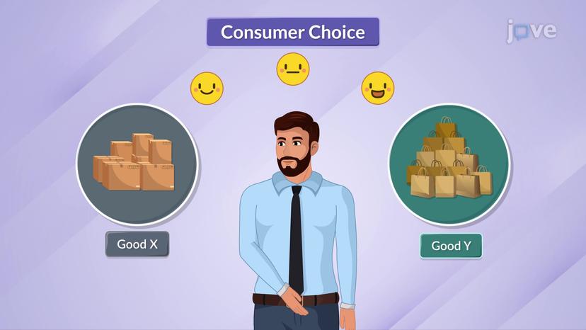 Consumer Choice I