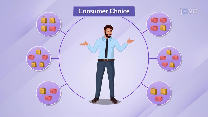 Consumer Choice II