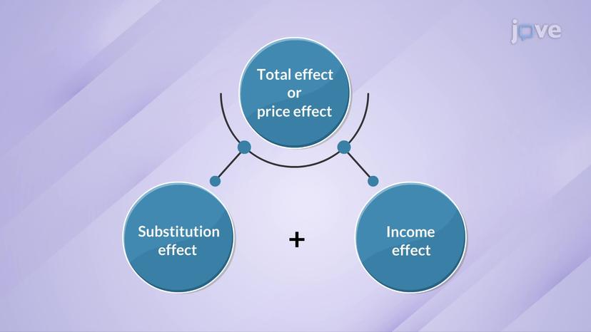 Income and Substitution Effects