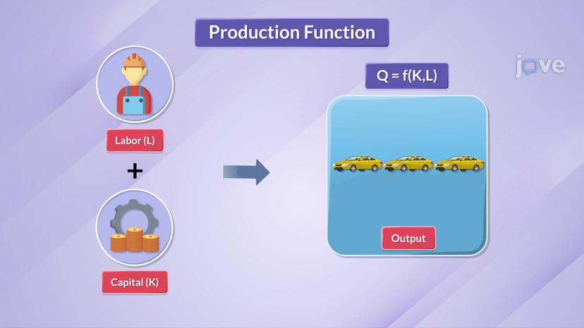 Production Function