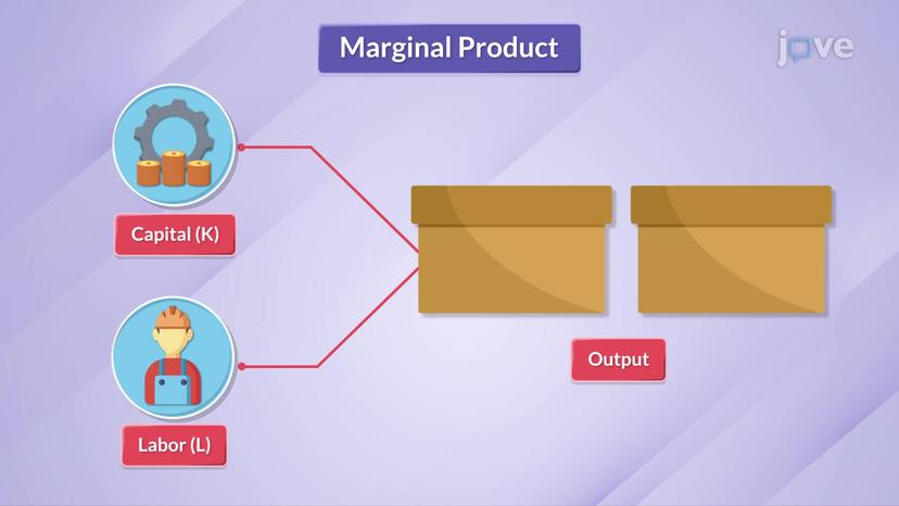 Marginal Product I