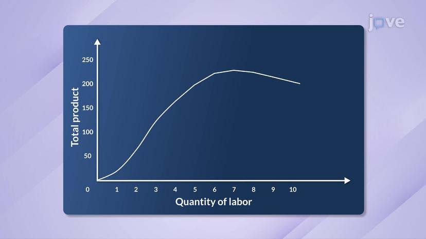 Total Product and Average Product