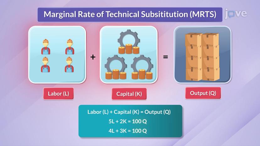 Marginal Rate of Technical Substitution I