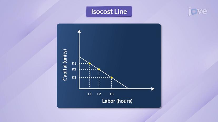 Isocost Line I