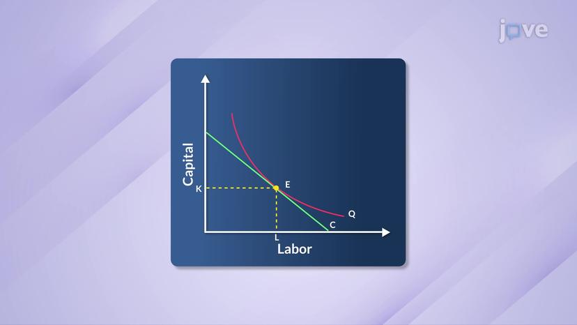 Cost Minimization Point