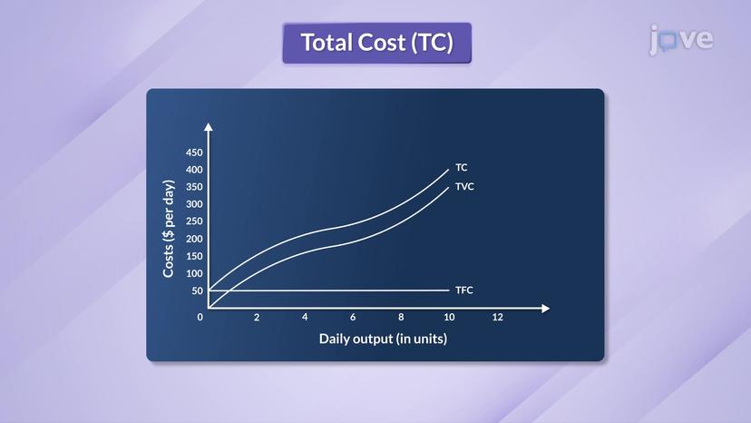 Total Fixed, Total Variable, and Total Cost Curves