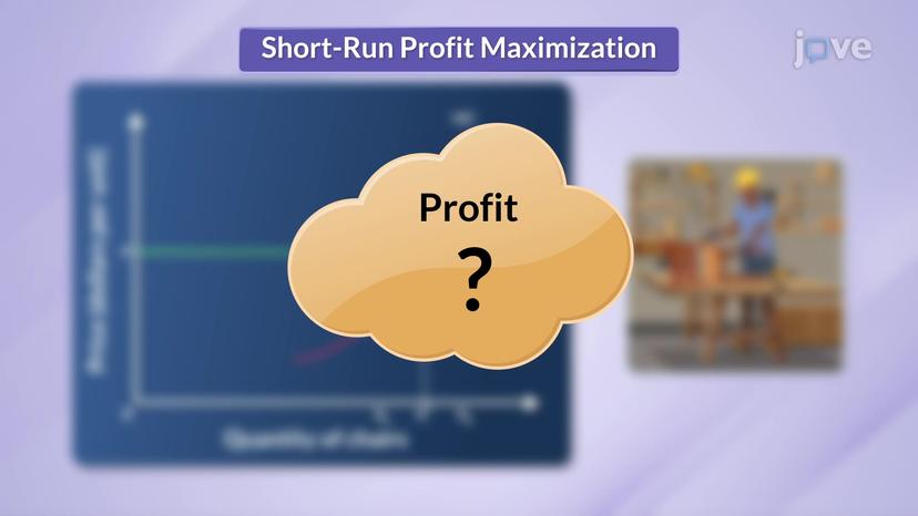 Short-run Profit Maximization II