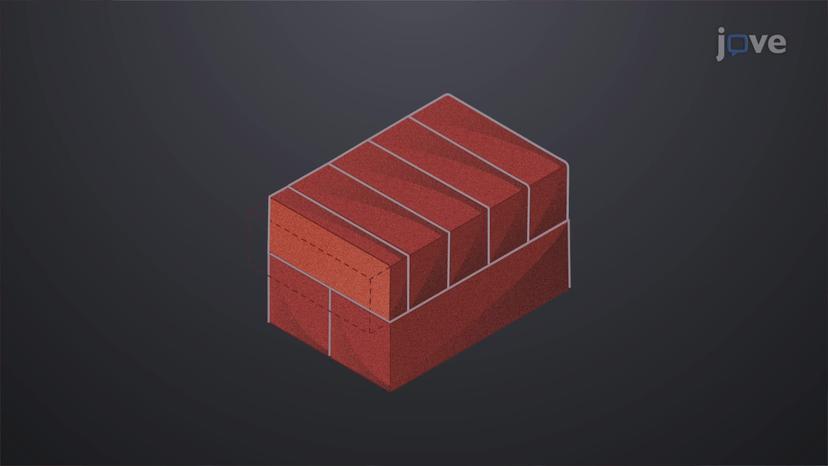 Brick Sizes