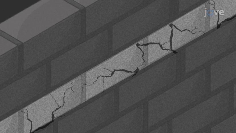 Expansion and Contraction in Masonry Walls