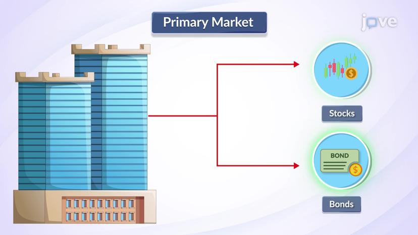 Types of Capital Market: Primary Market