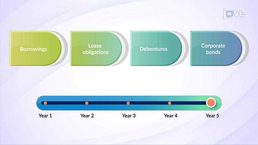 Non-current Liabilities