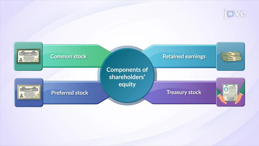 Shareholder&apos;s Equity