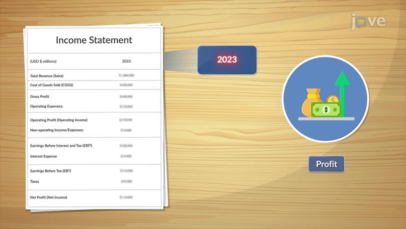 Income Statement