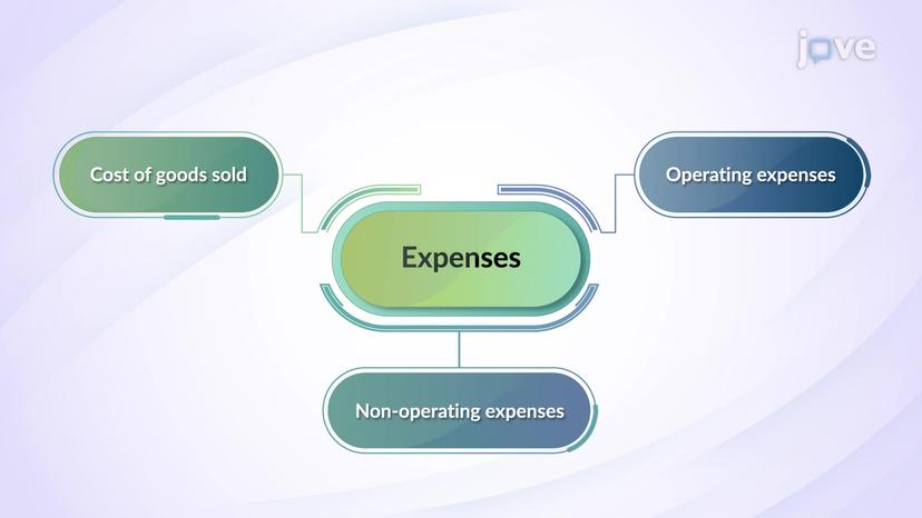 Income Statement: Expenses