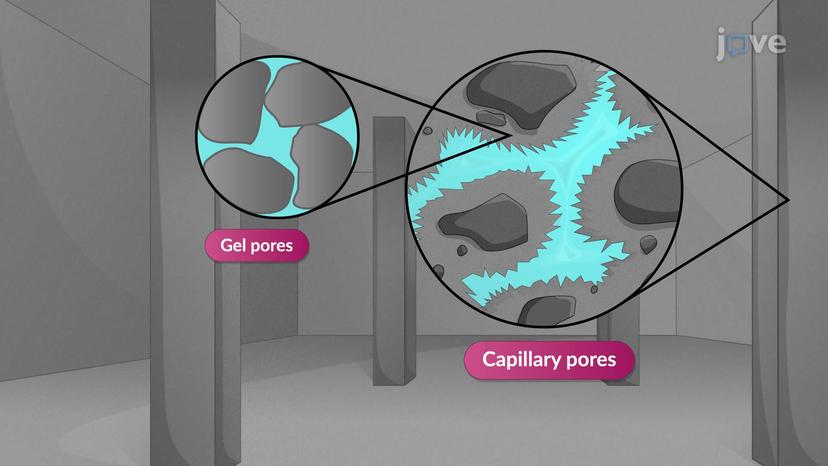 Pore Size Distribution