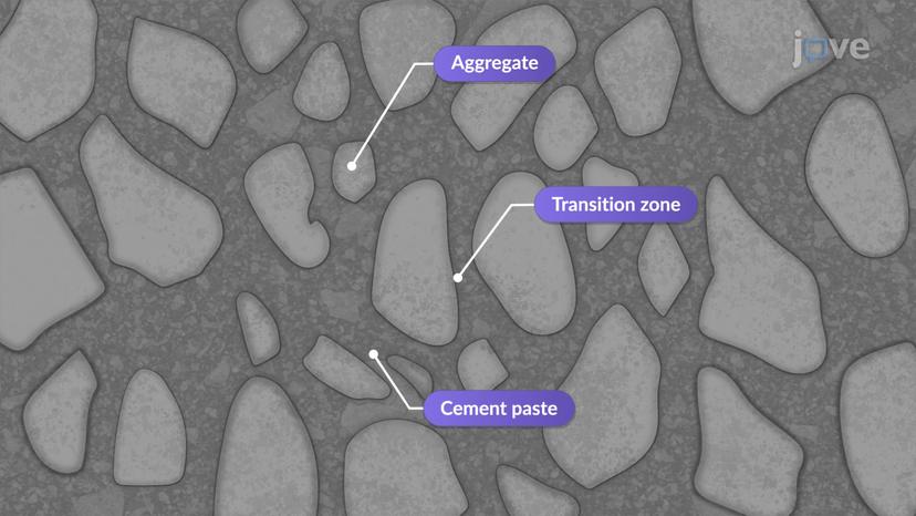 Transition Zone