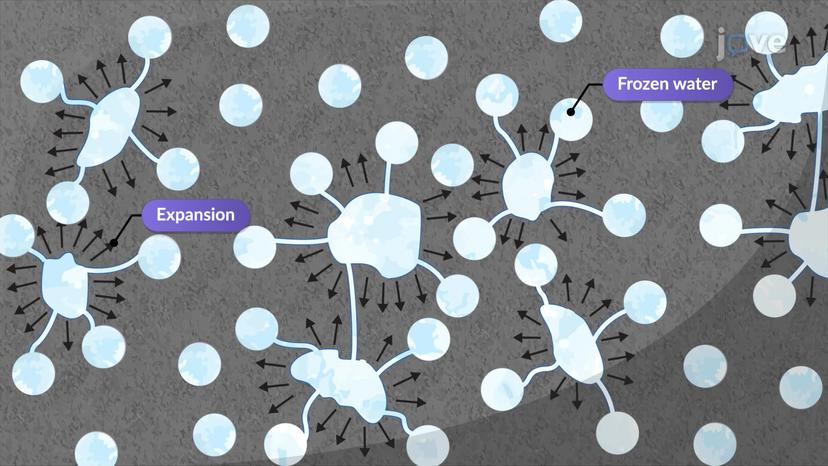 Effects of Air-entrainment in Concrete