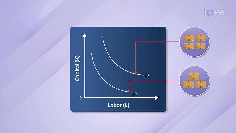 Features of Isoquants