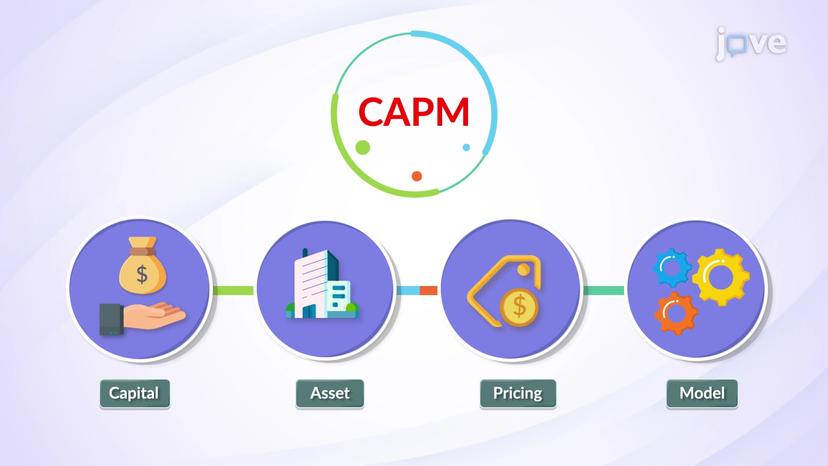 Capital Asset Pricing Model: Application