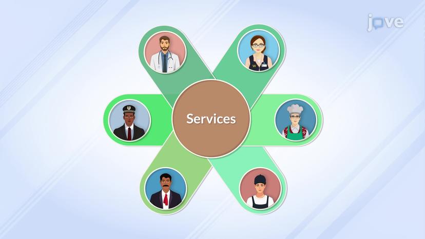 Categories of Services