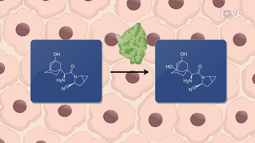 Dipeptidyl Peptidase 4 Inhibitors