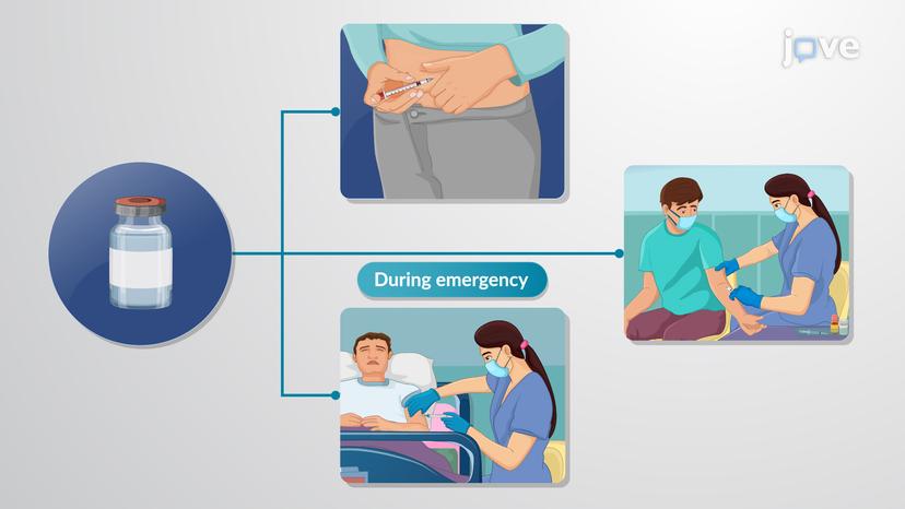 Hypoglycemia and Glucagon