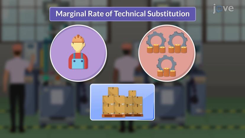 Marginal Rate of Technical Substitution II