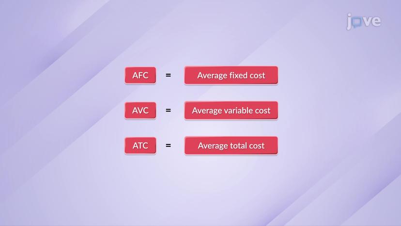 Average Fixed, Average Variable, and Average Total Cost II