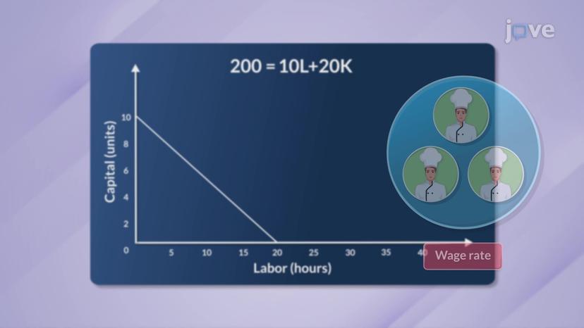 Isocost Line II