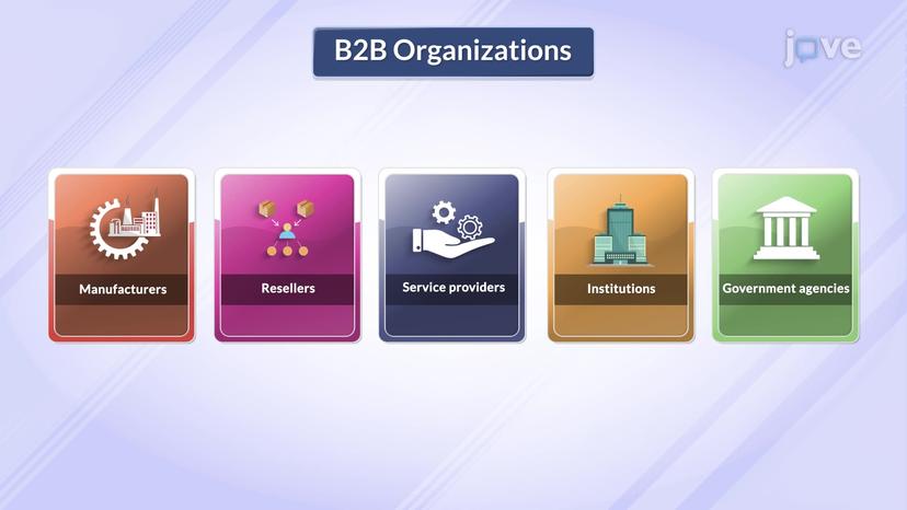 Types of B2B Organizations