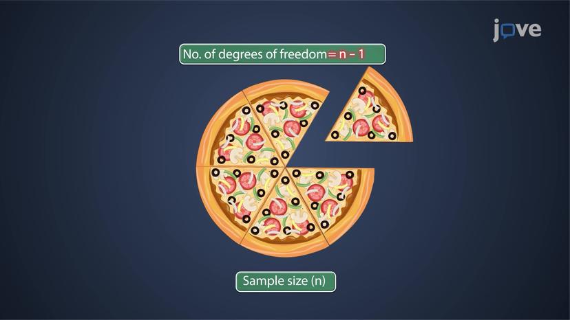 Degrees of Freedom